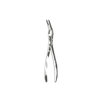  Septum Forceps